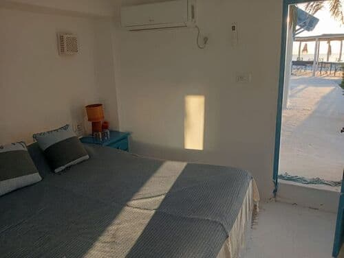 Suite Palmier - Image 2