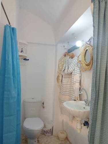 Suite Palmier - Image 3